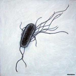 e_coli