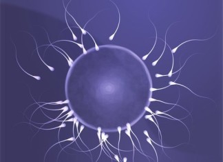 Una mejor nutrición permite un mejor esperma