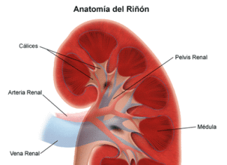 insuficiencia_renal