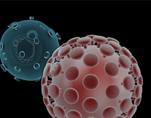 Los científicos ofrecen una visión global de cómo el VIH secuestra las células durante la infección