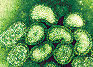 Dos muertos por gripe A (H1N1) en México