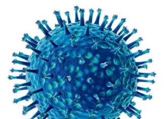 Los autores de artículos sobre la gripe aviar han decidido suspender sus estudios por 60 días