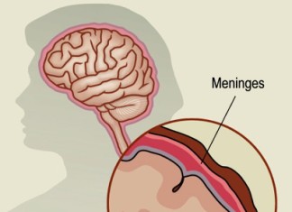 La vacuna para la meningitis tipo B disponible en breve (4CMenB)