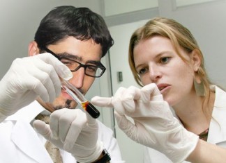 Un virus que consigue matar a los tumores de páncreas en un modelo preclínico