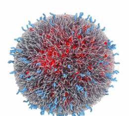 La nanomedicina dirigida empieza sus estudios clínicos en humanos