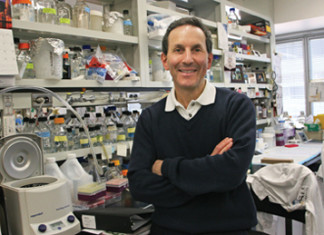 Desarrollo de nuevos fármacos para tratar la diabetes