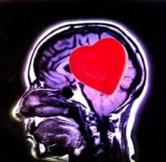 Quiero saber donde está el amor: Investigación desarrolla mapa del cerebro donde se encuentra el amor y el deseo