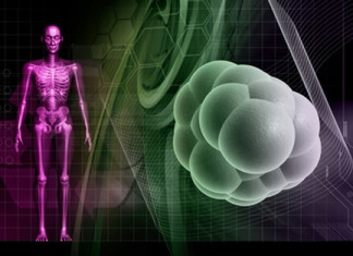 Identifican papel del gen FoxO1 en la enfermedad de Parkinson