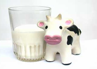 Ingrediente en la leche combate la obesidad