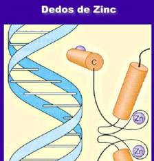 Científicos desarrollan alternativas a la terapia génica