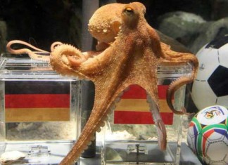 Un estudio muestra que la pérdida de control lleva a las creencias paranormales