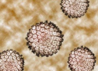 Vacuna contra el VPH reduce la infección, incluso en los no vacunados