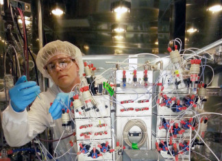 Nuevo marcador para las células cancerosas