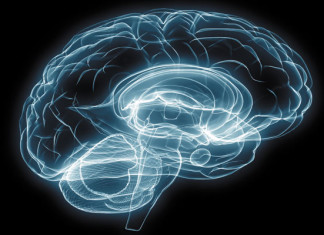 Epilepsia y Alzheimer: Anavex confirma datos preclínicos positivos para ANAVEX 2-73