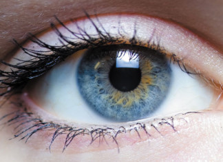 Nuevas vías descubiertas para prevenir la ceguera