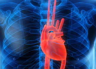 La enfermedad cardiovascular es más que un problema del corazón