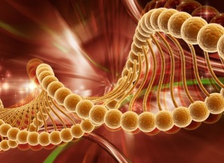 Cáncer – Nuevos genes identificados que abren la puerta a tratamientos específicos