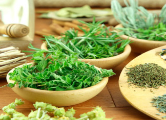 Las hierbas aromaticas podrían desarrollar el cerebro