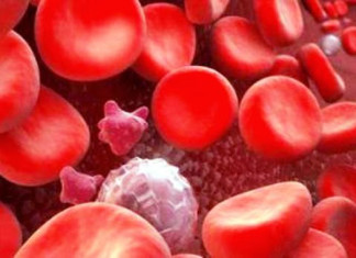 ¿Por qué los sobrevivientes de cáncer de mama sucumben a la leucemia después de terapia?