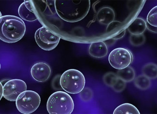 Científicos muestran cómo las moléculas de drogas regulan una proteína de importancia médica