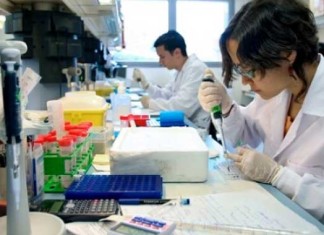 Leyes de la naturaleza predicen la evolución del cáncer