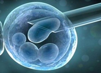 Nuevo dispositivo de FIV permitirá fertilización natural