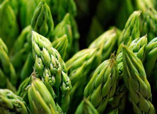 Dieta baja en aminoácidos vinculada a retraso del crecimiento en niños