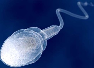 Mutaciones geneticas que causan enfermedades asociadas con el avance de la edad