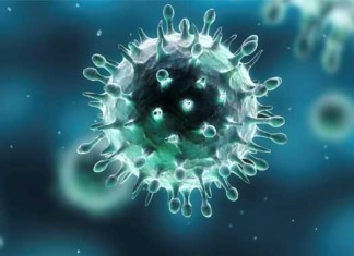 El virus del herpes y VEB se puede afrontar con medicamento para el corazón