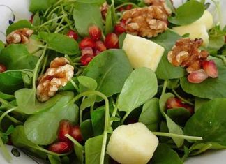 Extracto de berro podría proteger contra el cáncer en fumadores