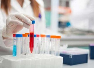 Científicos hacen que el cáncer de páncreas sea susceptible a fármacos