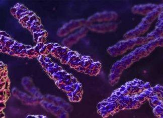 Análisis de sangre para detectar Alzheimer gana terreno