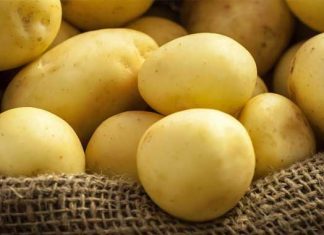 Alto consumo de patata vinculado a hipertensión arterial