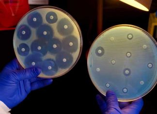 La resistencia bacteriana a los antibióticos de último recurso