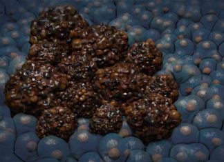 Reguladores aprueban edición génetica en humanos para investigación del cáncer