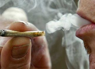 Consumo de marihuana puede aumentar el riesgo de enfermedad periodontal