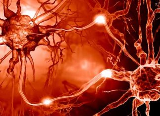 Parkinson: una nueva visión sobre el origen de la enfermedad