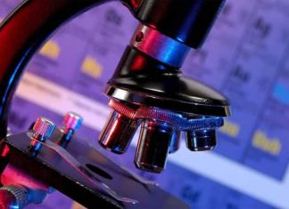 Parkinson: interacción con gen mutante puede allanar el camino para nuevos tratamientos