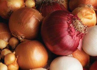 Compuesto de la cebolla suprime la proliferación de células de cáncer de ovario