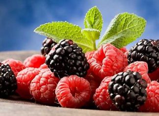 Compuesto de moras facilita la pérdida de peso activando la grasa parda