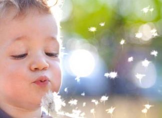 Autismo: nuevo estudio lo vincula a mutaciones en el ADN mitocondrial