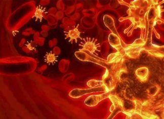 Diabetes y anticuerpos GAD: ¿Cuál es la conexión?