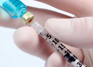 Zika: Investigadores crean una herramienta poderosa para una vacuna antiviral