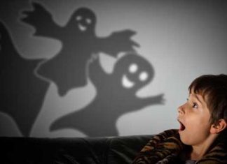 ¿Cómo nuestro cerebro procesa el miedo?