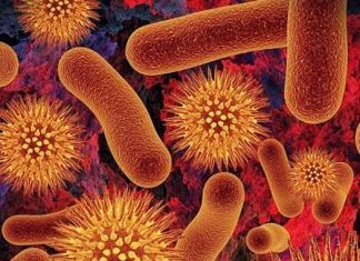 Síndrome de fatiga crónica y bacterias intestinales: analizando conexión