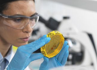 Microbicida rectal es seguro, y puede reducir significativamente la transmisión del VIH