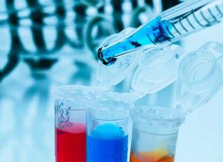 La diabetes tipo 1 curada en ratones usando terapia génica