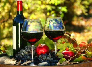 ¿Puede el vino proteger sus neuronas?