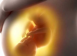 El paracetamol prenatal puede afectar la masculinidad