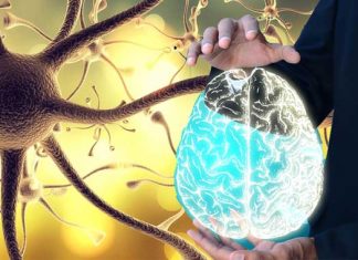 ¿Qué es el nervio vago?